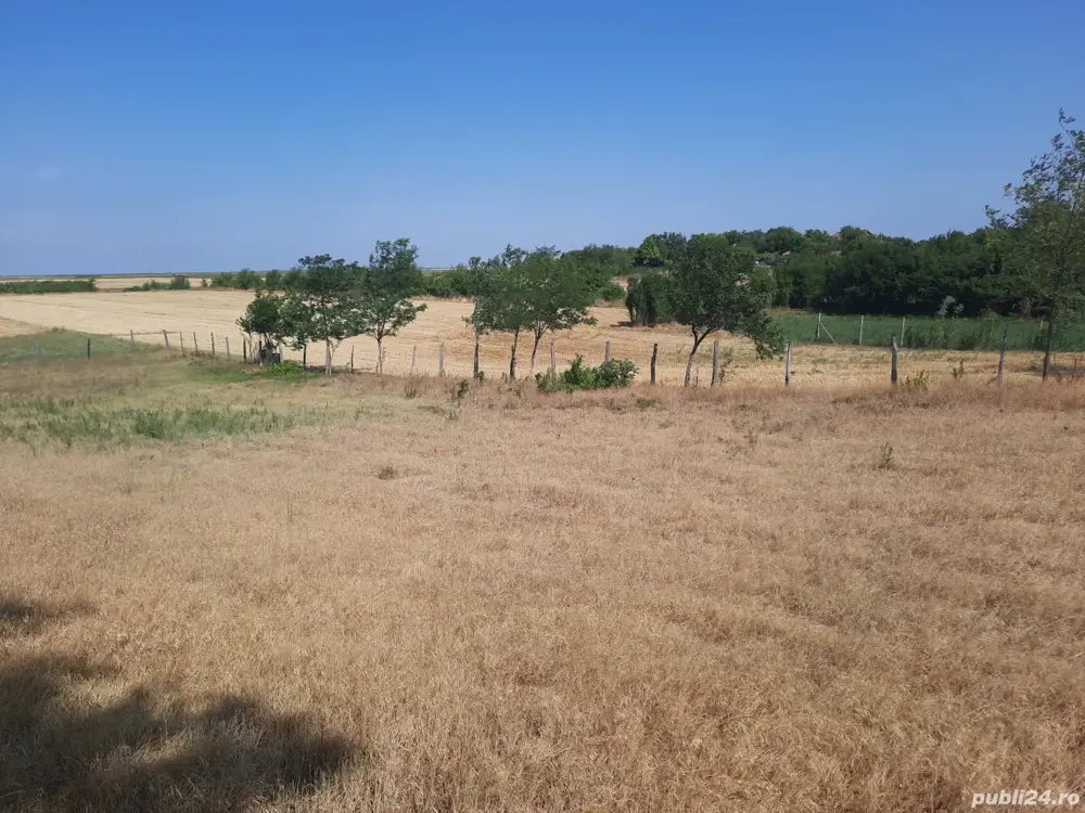 teren intravilan numai 35 lei m2