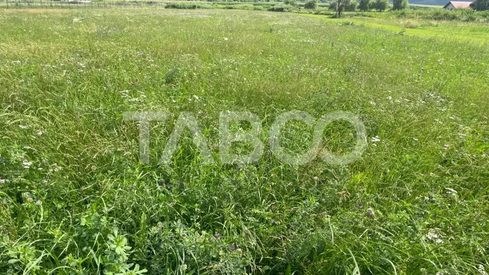 Teren intravilan 3450 mp Boita, 35 m deschidere, la 700 m de A1