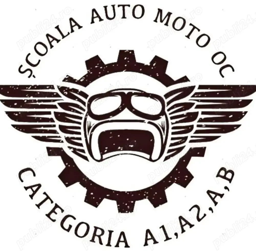 Instructor Auto Categoria B