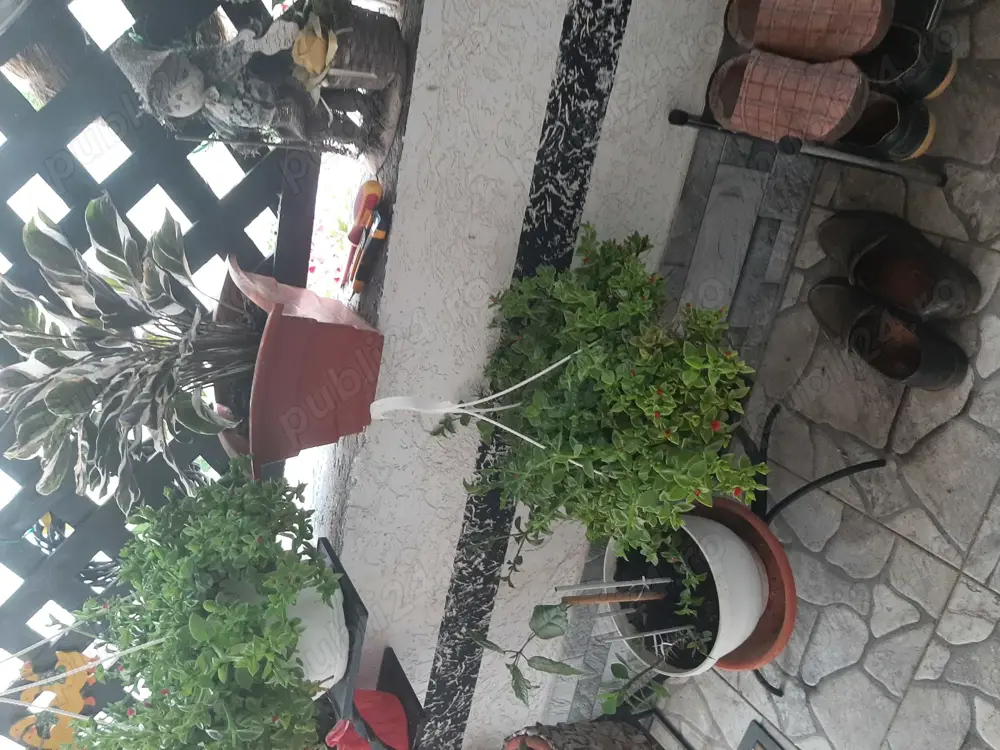 Casa de vanzare Sannicolau Mare 