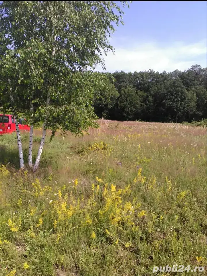 Teren Intravilan Sibiu