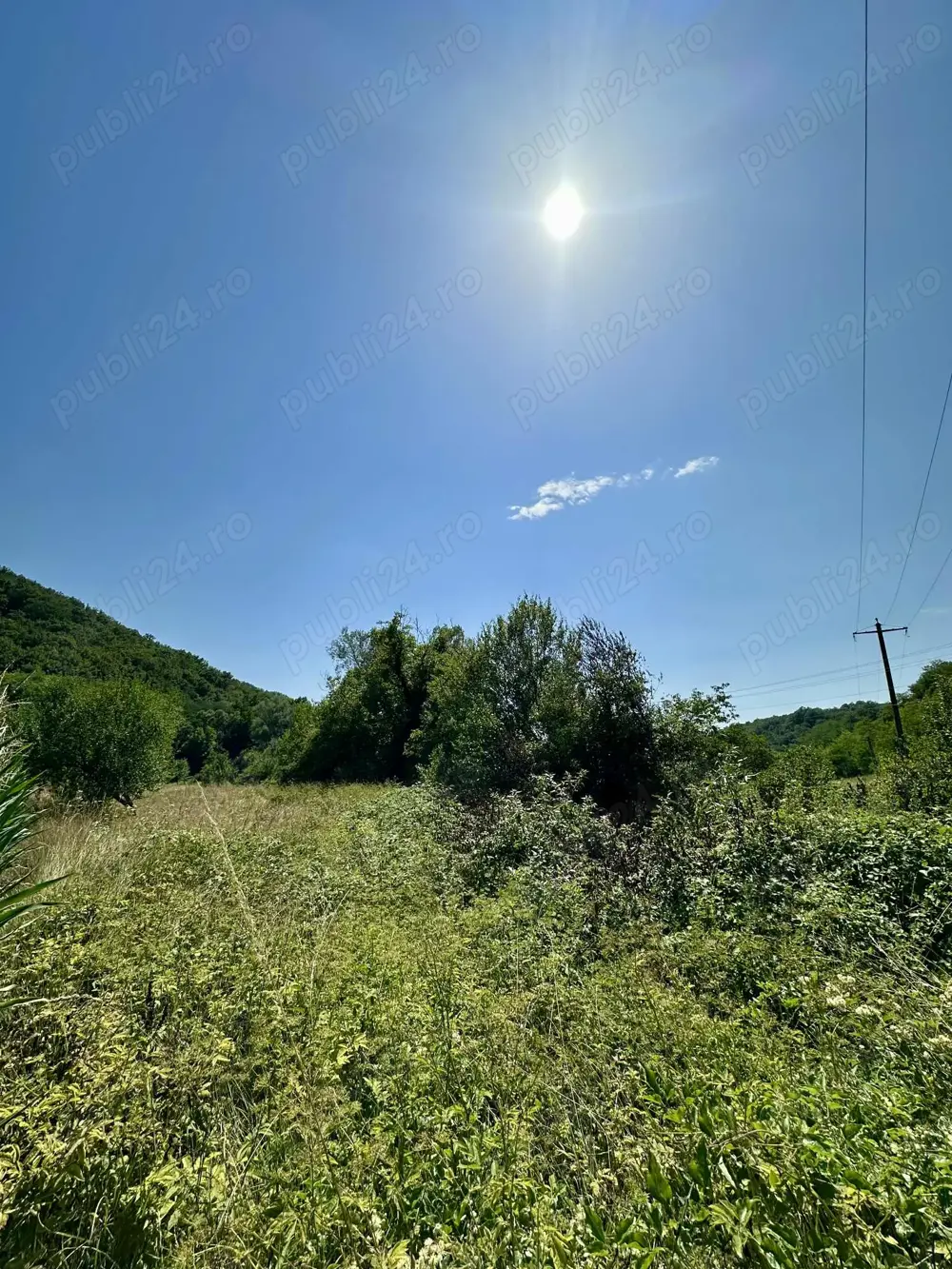 Teren de vânzare 