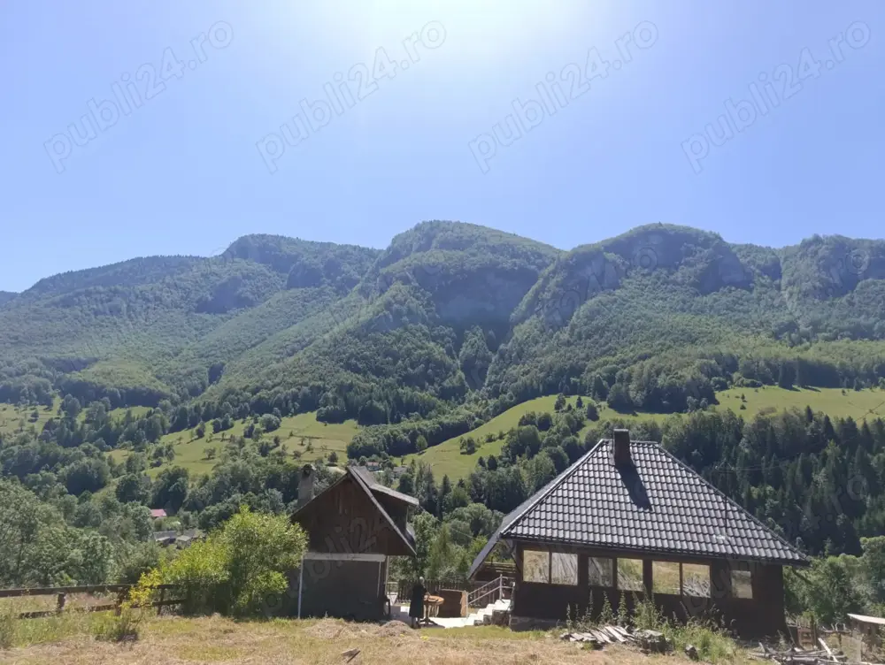Vand casa de vacanta traditionala in satul natal a Lui Avram Iancu