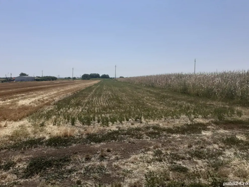 Vând teren intravilan Vând teren intravilan