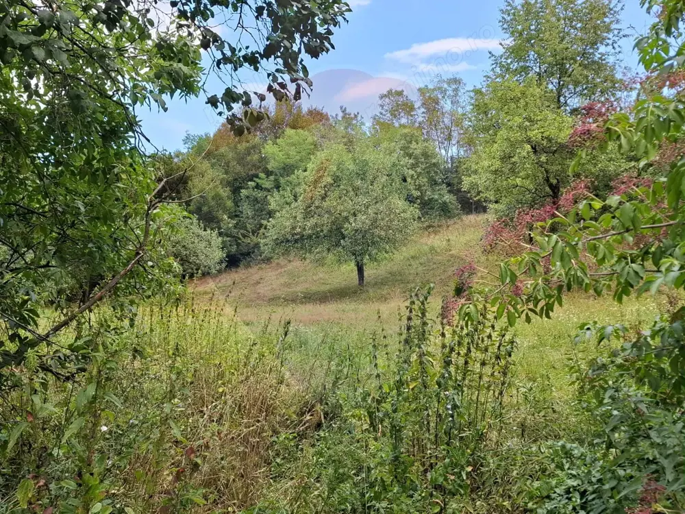 Teren de vânzare 990mp în Barzava, județul Arad