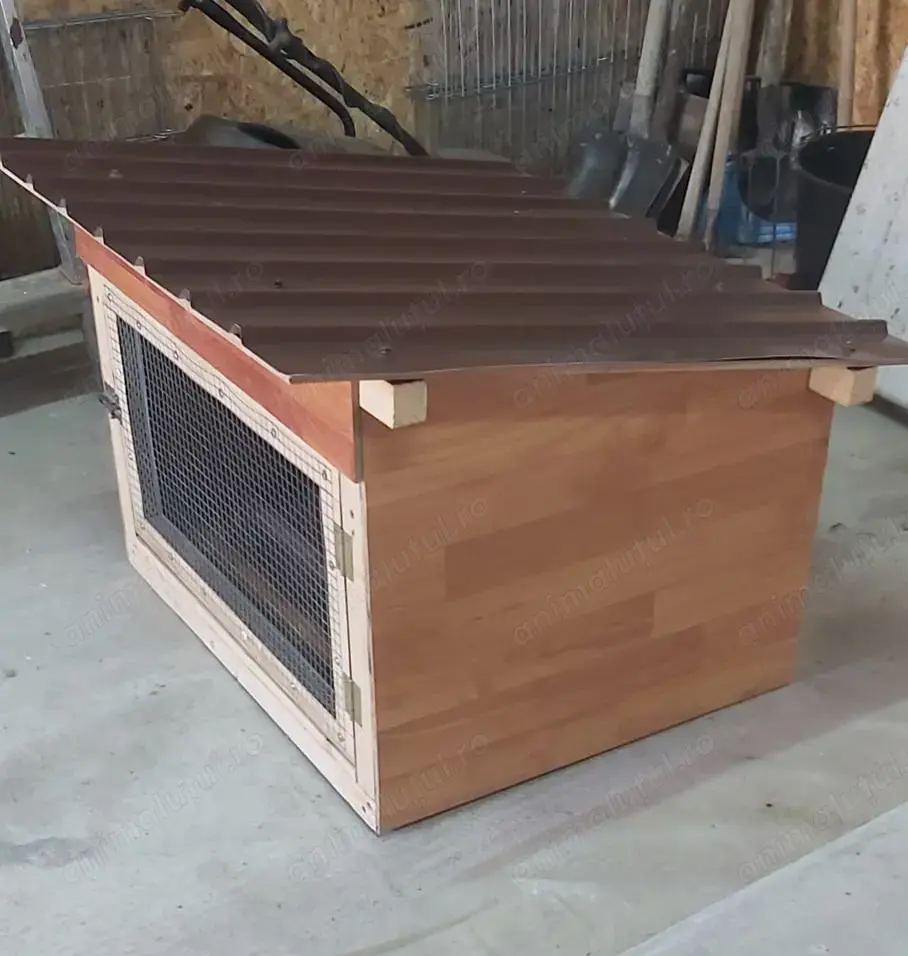 Vând coteț iepuri Vând coteț iepuri