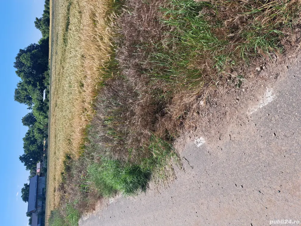 teren intravilan, 35 euro mp ușor negociabil 