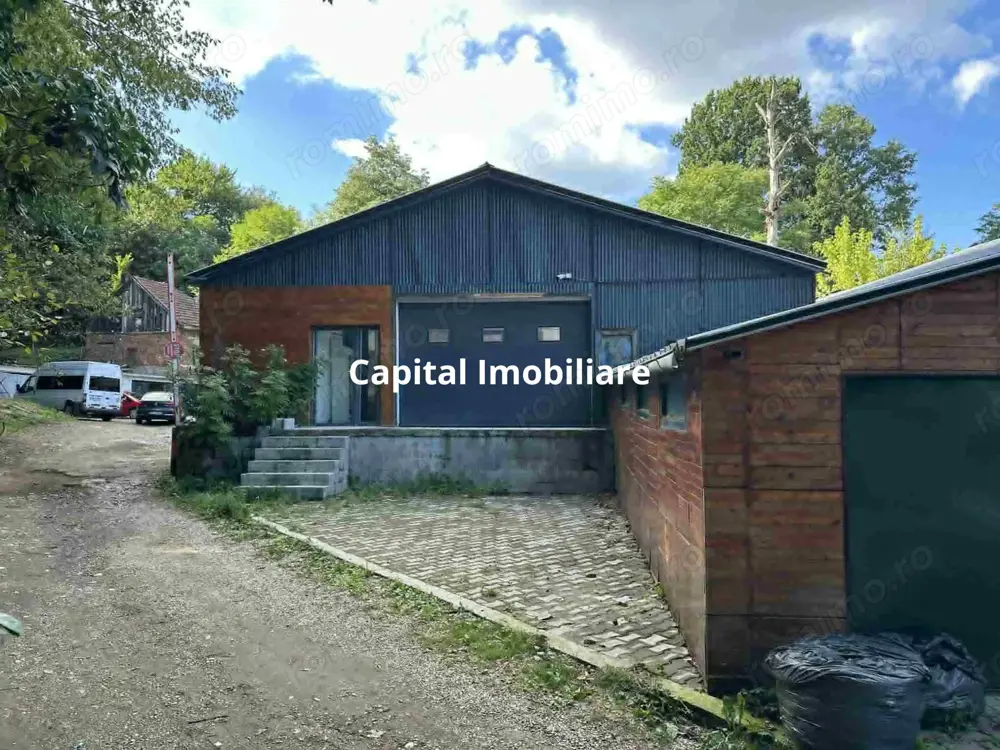  Hale de vanzare pe drumul Lupacului