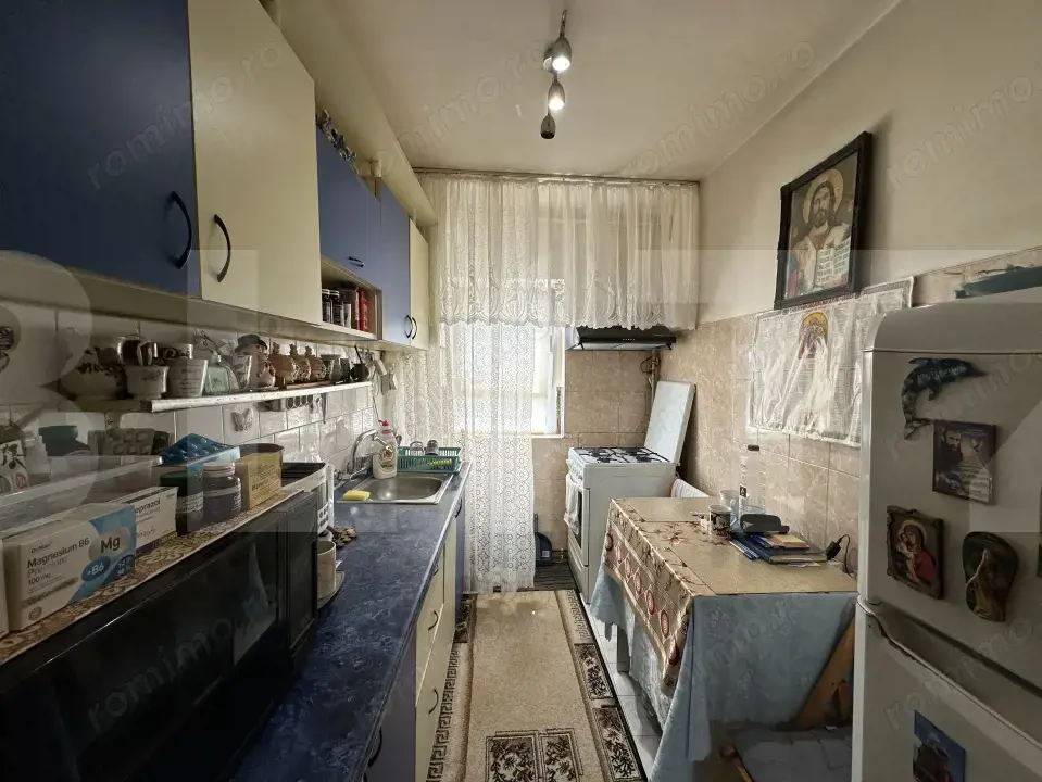 Apartament cu o camera, mobilat, Buziasului