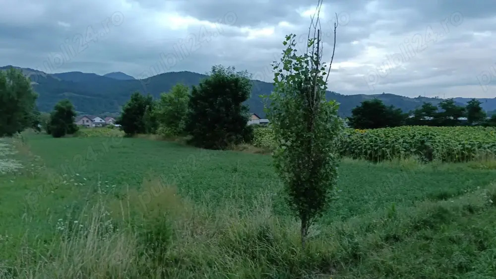 Vând teren intravilan în Dofteana, județul Bacău 2.039 mp,  cu dublu acces: DN12 și cale ferată