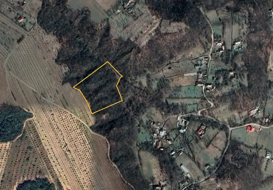 Vand padure 10.000m2 jud Valcea Olt, Sat Ciresu Vitomiresti  Bulimanu 1.6lei  m2