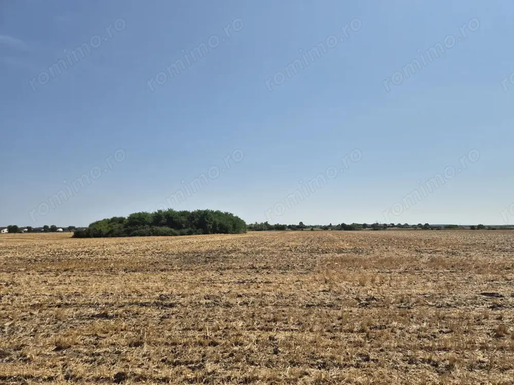 Teren intravilan 4428 mp - Balotesti