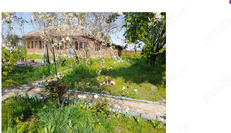 Teren cu doua corpuri casa - 35500 eur