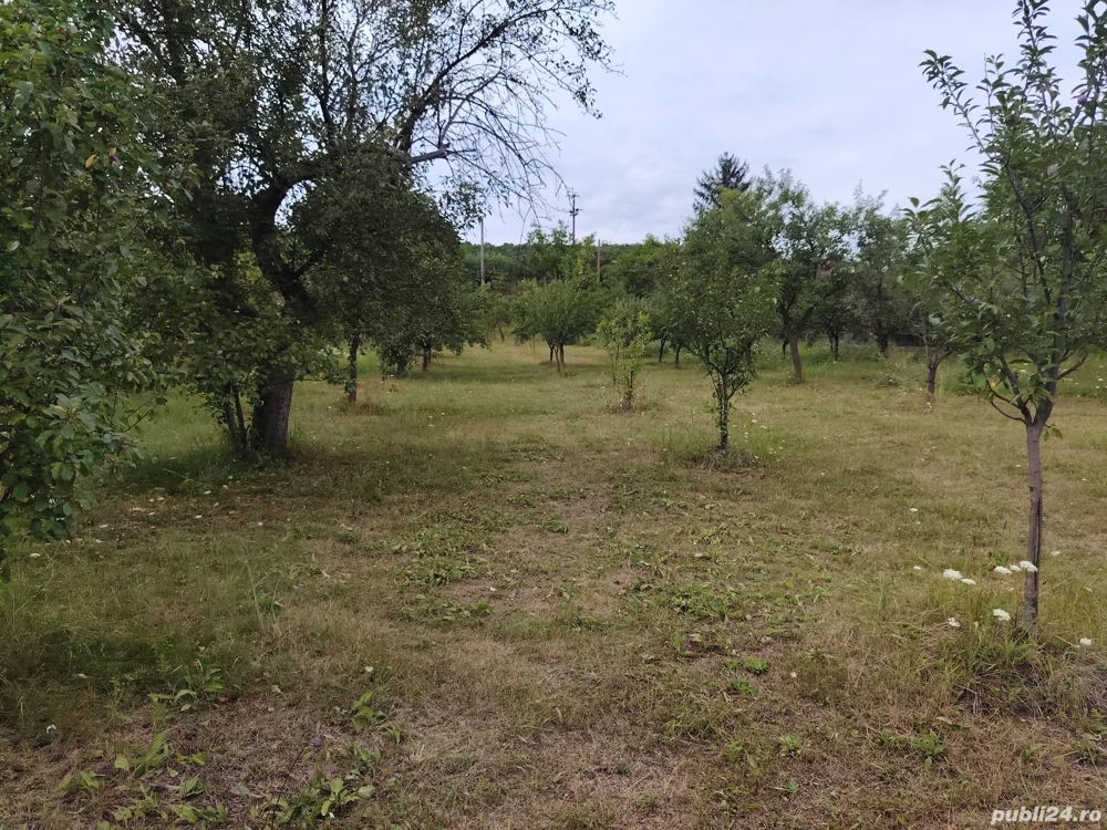 Teren intravilan de vânzare 