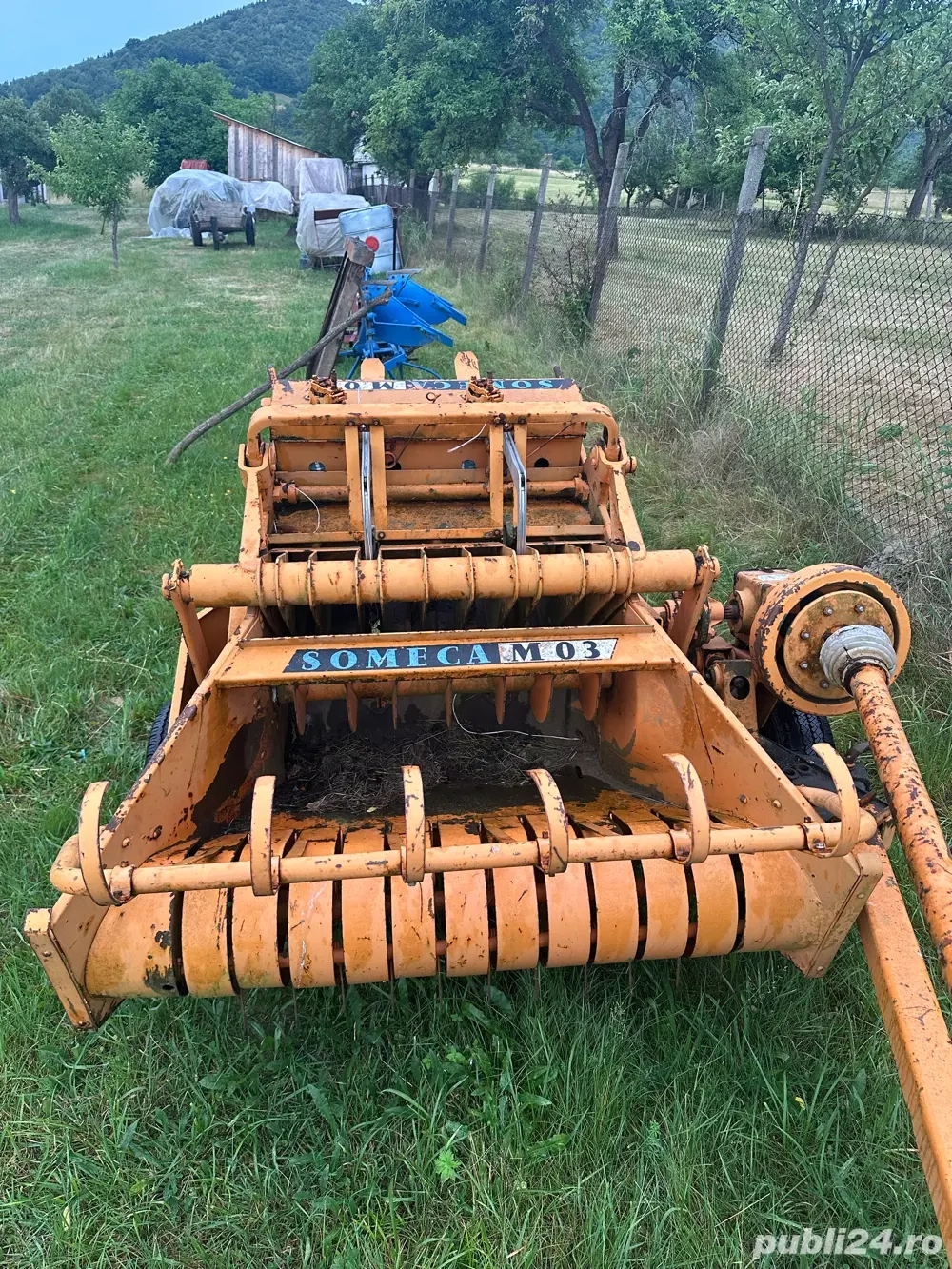 vand balotiera de munte 