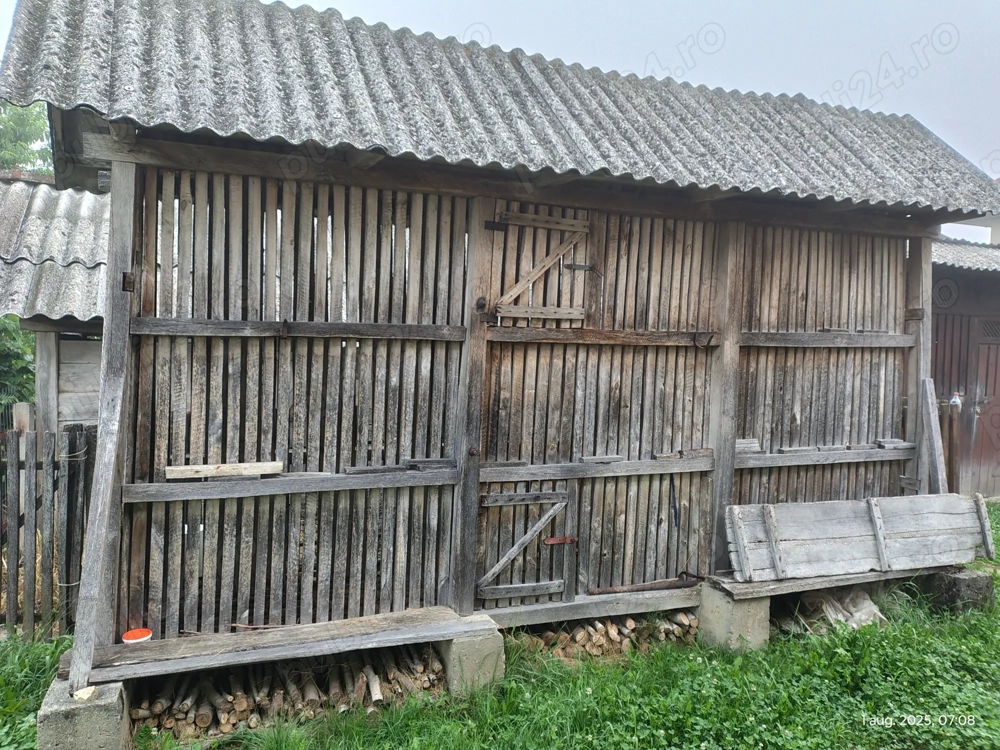 Costei pentru porumb