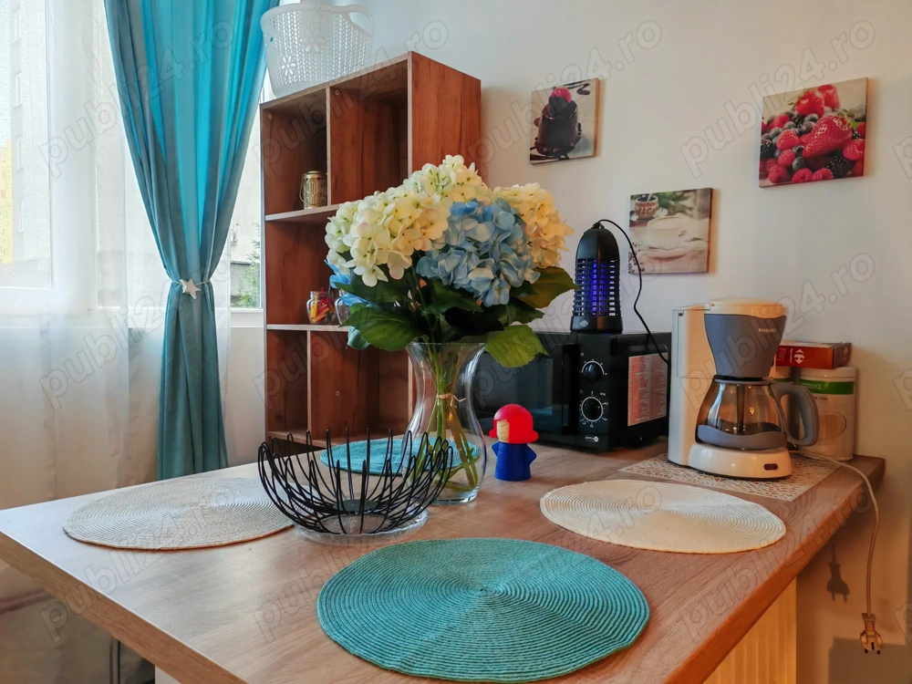 Cozy Blue Home Manastur isi cauta chirias