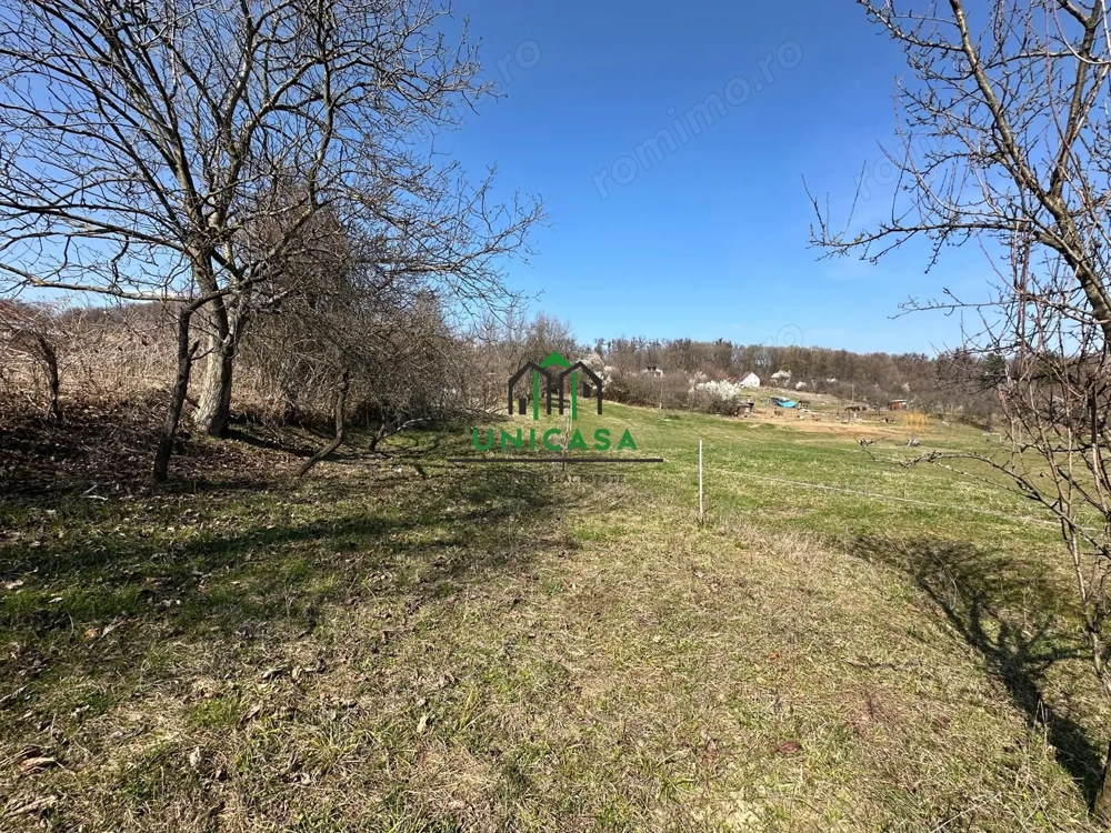 Teren Govora / 8131mp