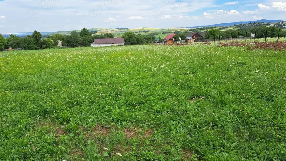 Vând teren intravilan in sat Oglinzi, com. Raucesti!