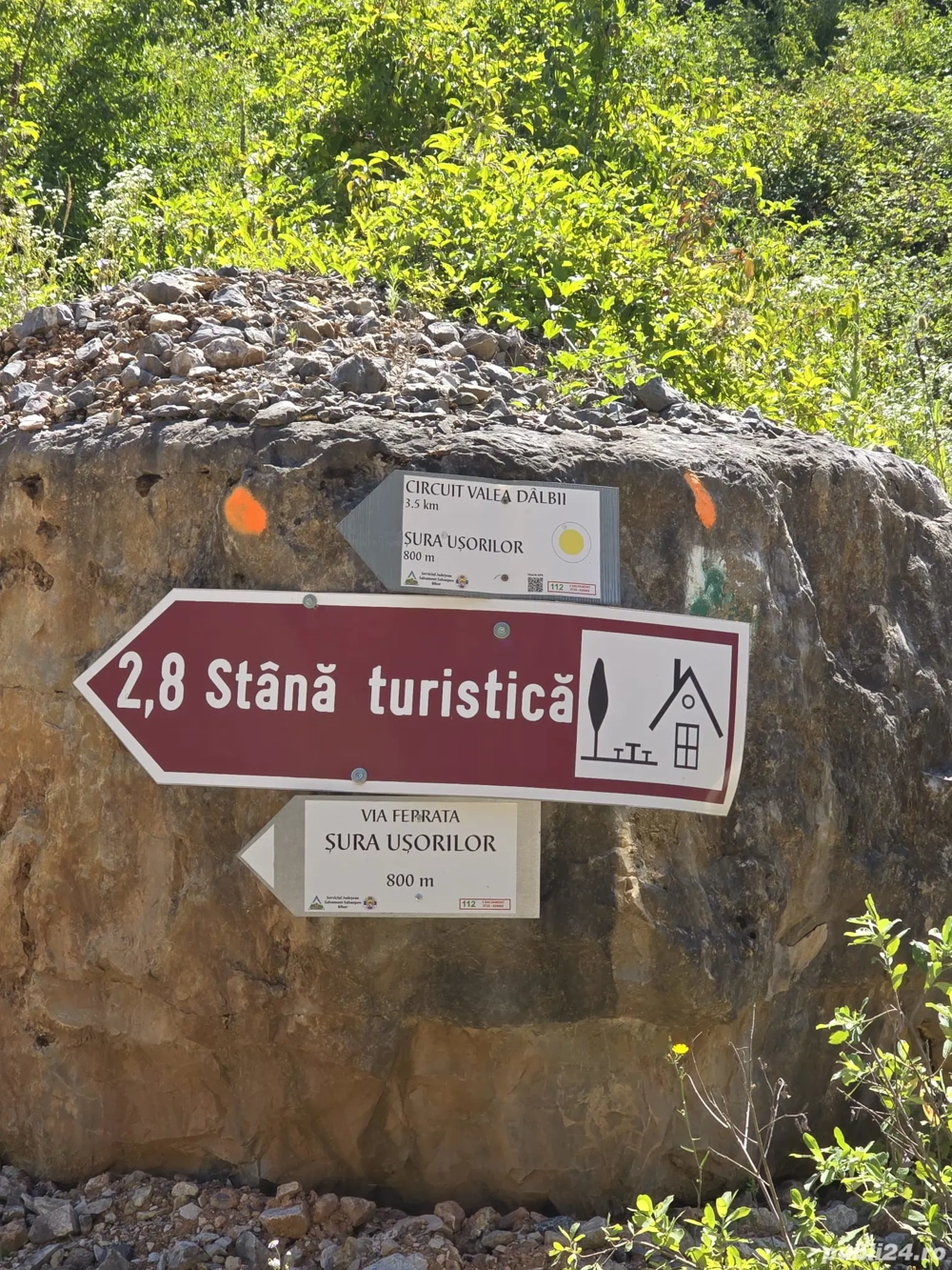 De vanzare 3 parcele de 1000 mp teren intravilan Valea Dâlbii pe UAT Rosia.