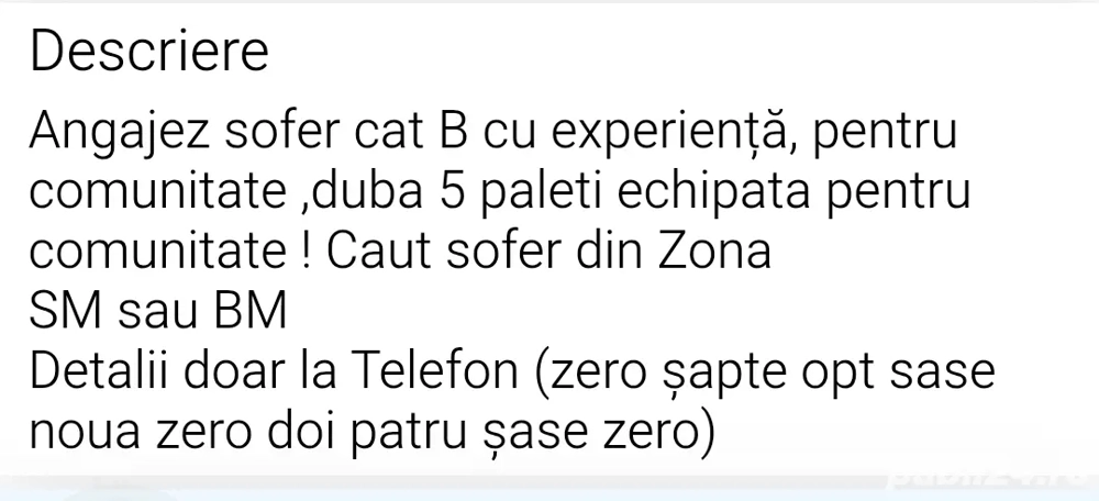 Șofer cat B 