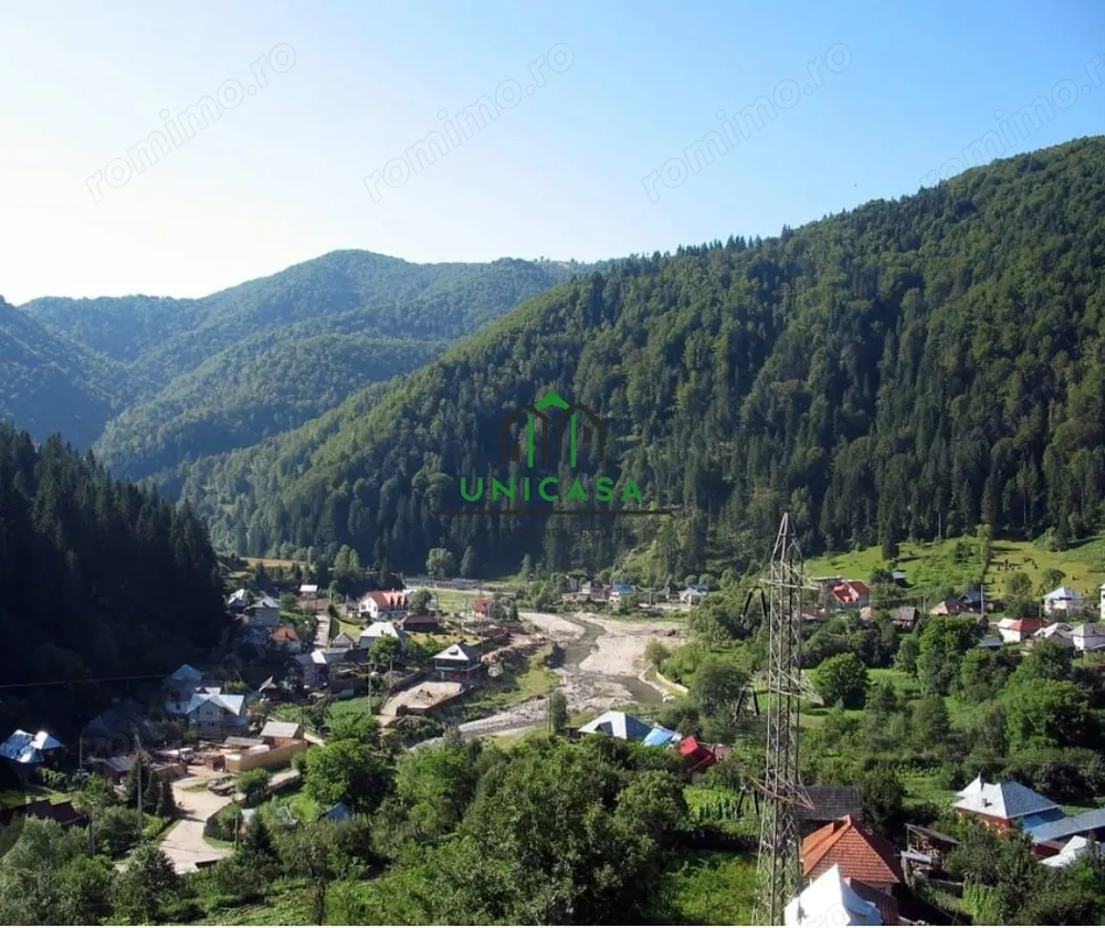 Teren Voineasa/Intravilan/5500 mp