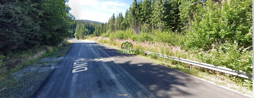 Teren /Obarsia Lotrului /DN 7A