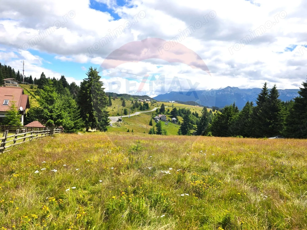 Teren de vis în Fundata 3868mp, la înălțimea sufletului tău