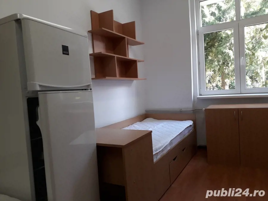 vand camera de camin