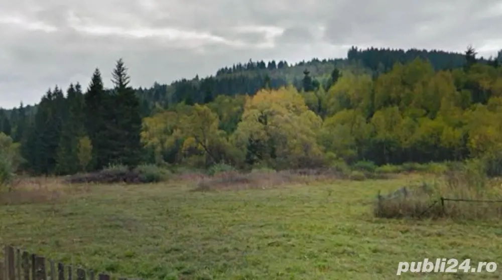 Teren de vanzare Toplita