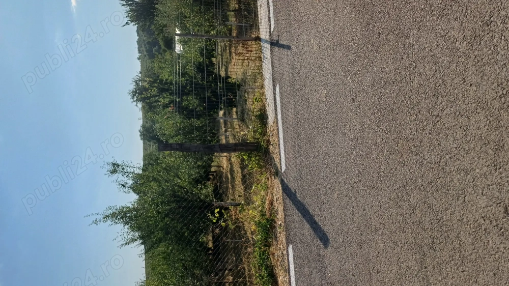 Teren pentru casă și livadă 