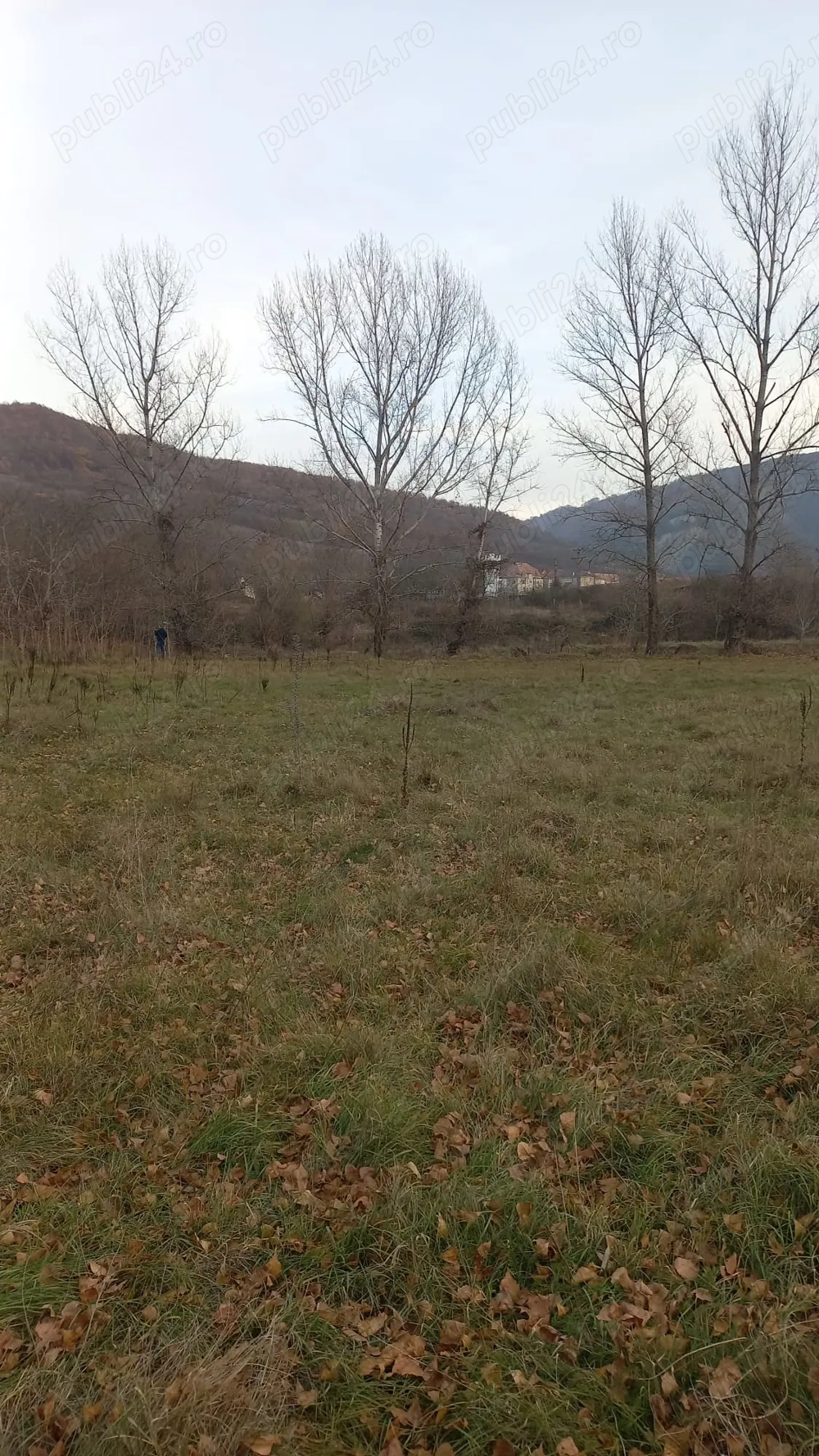 Vând teren  4 euro mp MEHADIA la 8 Km de Băile Herculane