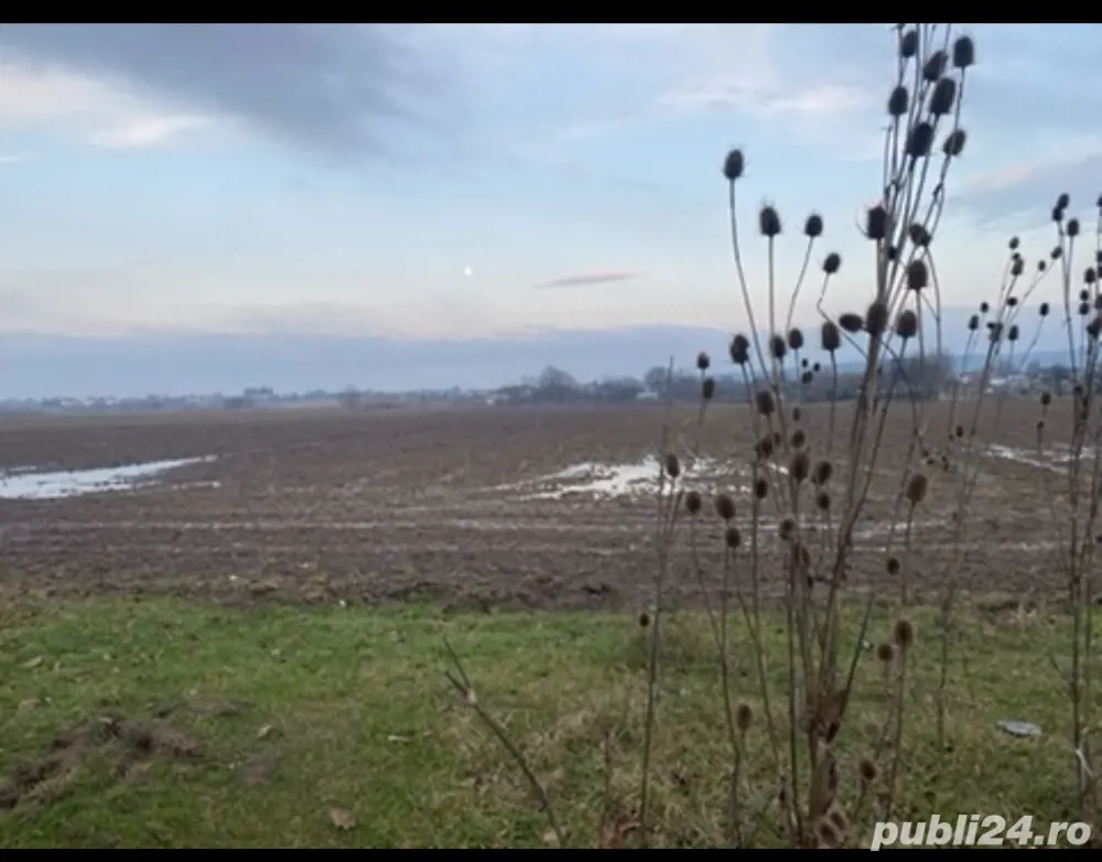 vand teren agricol Lipanesti Prahova 