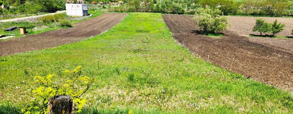 Vând 1200m teren intravilan și 1700m teren extravilan în Comuna Căianu, jud. Cluj