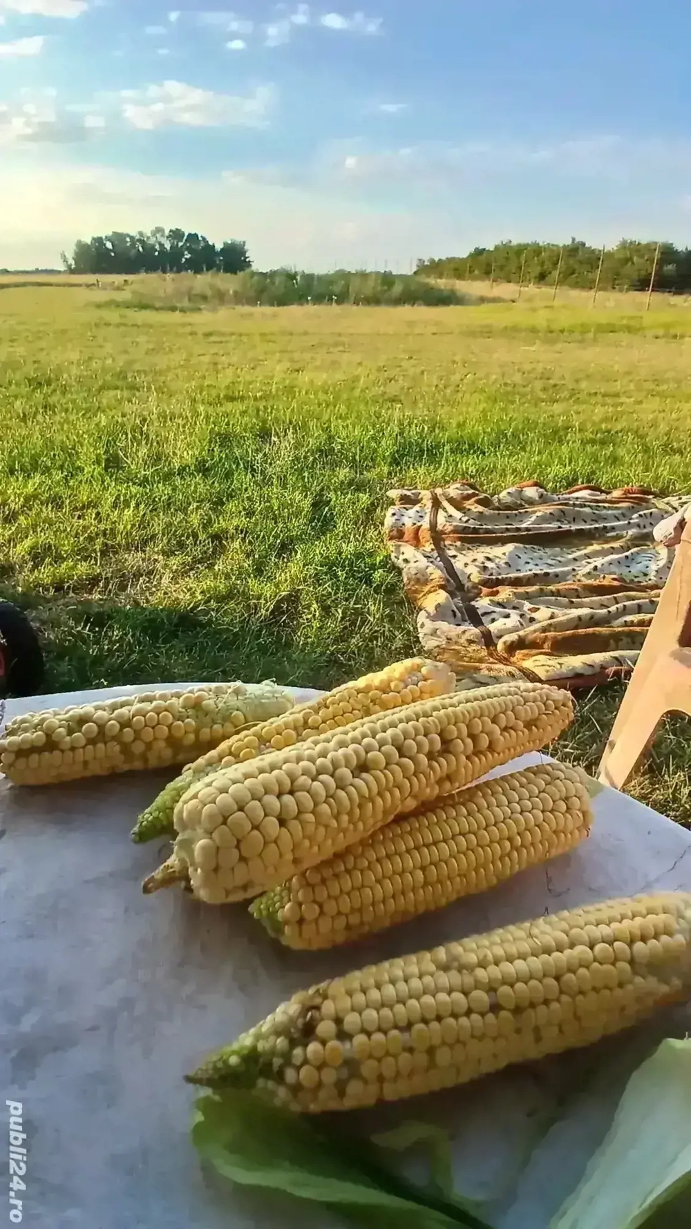 Proprietar Vand teren 2700 mp în Cebza, 29 km de Timisoara 