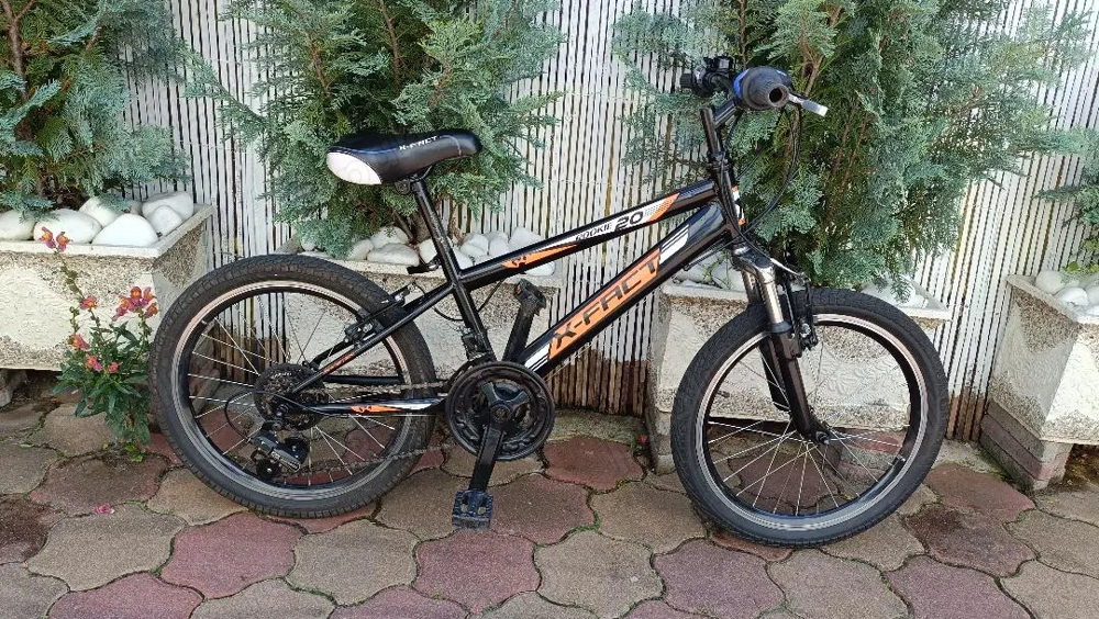 Bicicleta pentru copii, X Fact, Rookie 20 inch