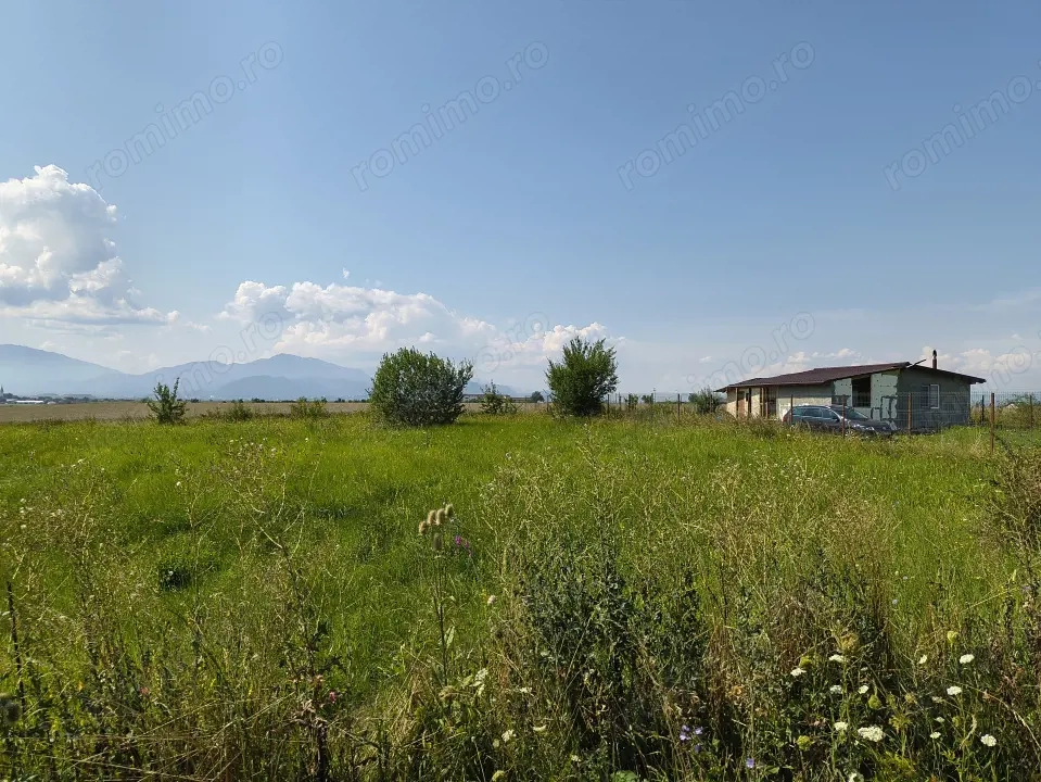 Teren Bod - intrare dinspre Sînpetru 