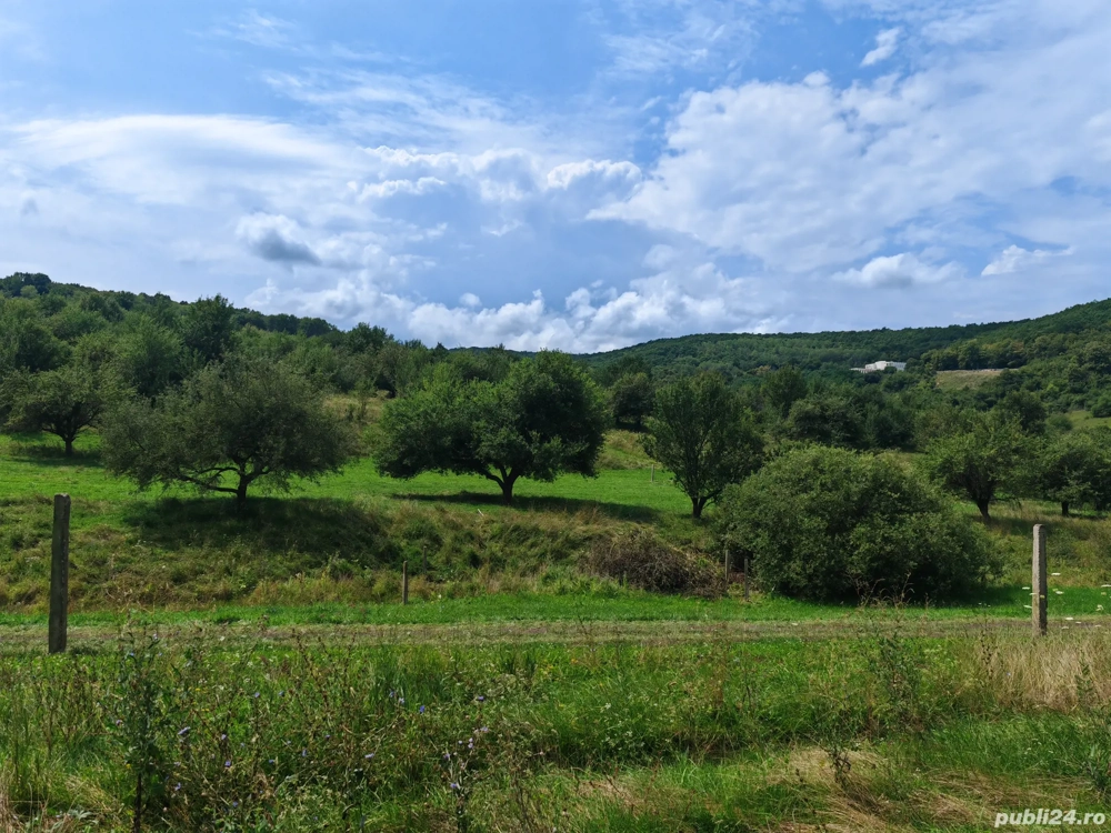 Teren intravilan 623 mp Valea Sanaslaului 