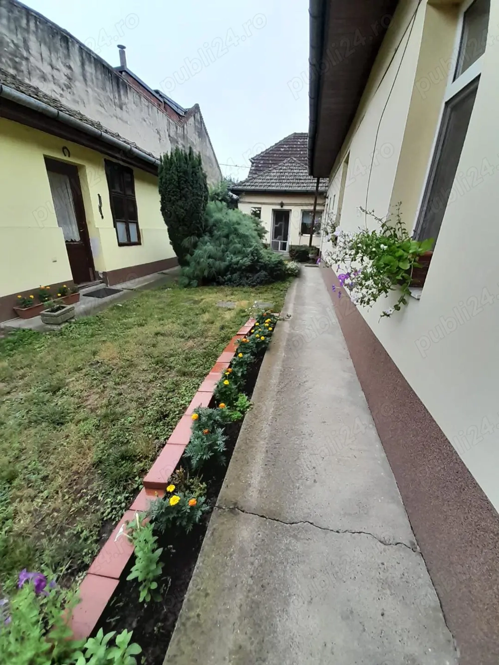 Buziasului, case cu potential, zona linistita