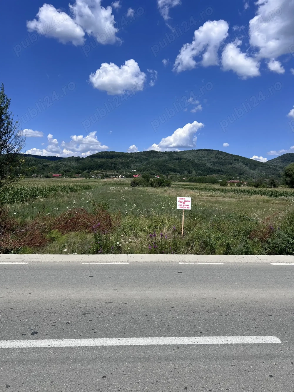 Teren 7.880 mp de vânzare   Șerbăneasa, Nicolae Bălcescu (Vâlcea)