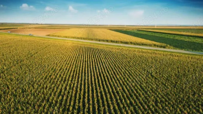 Teren agricol [5.91 ha] de vanzare langa Simand
