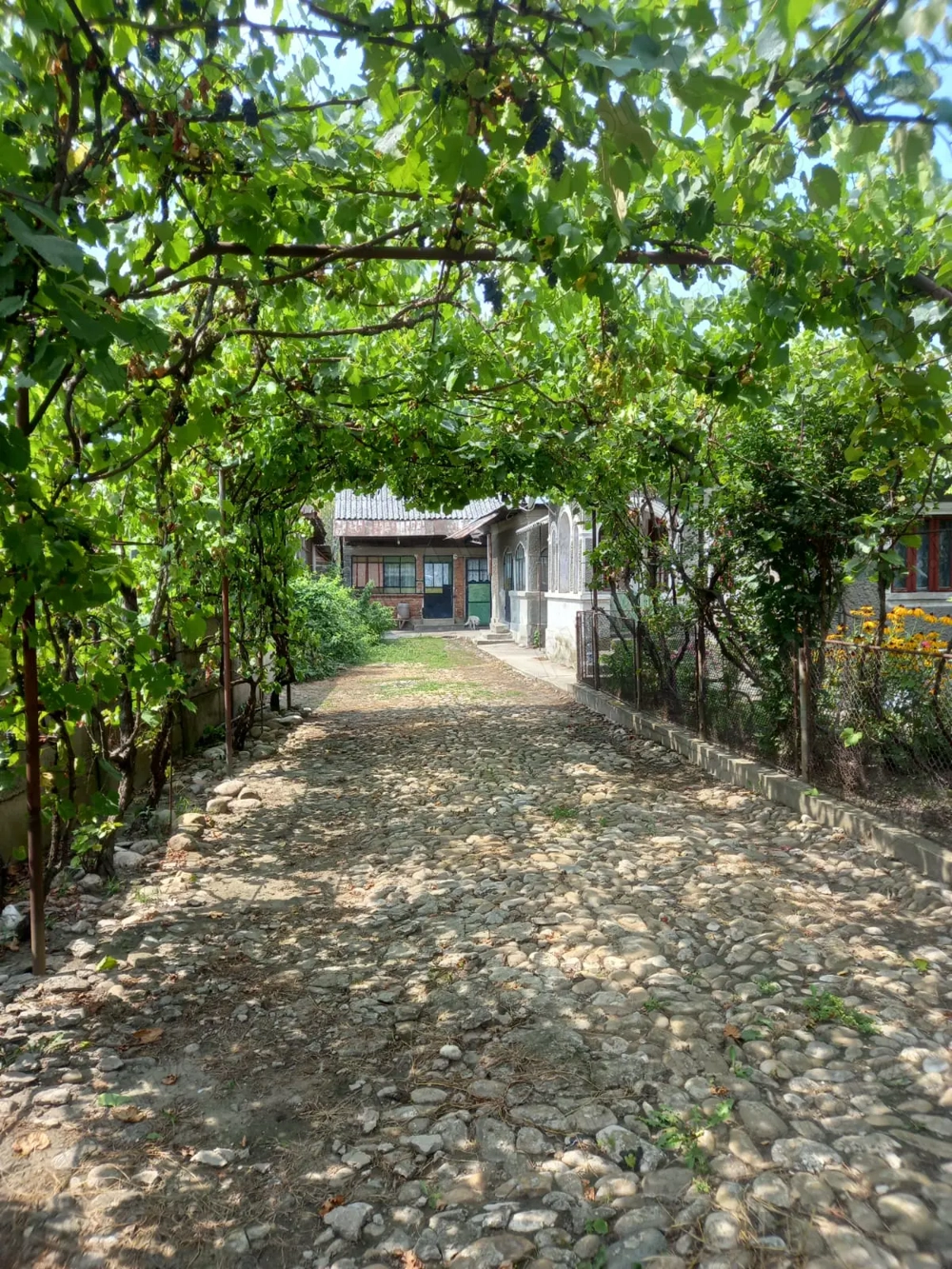 vand casa si teren,acte la zi,apa,lumina,gaze,put