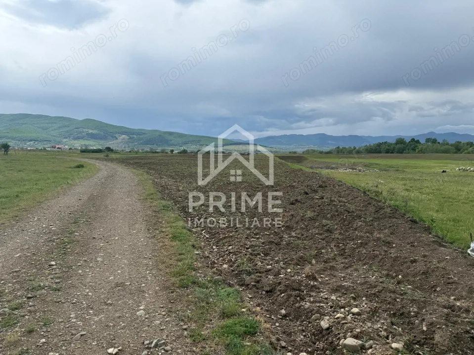 Teren extravilan de vanzare in Barabant, 5000 mp.