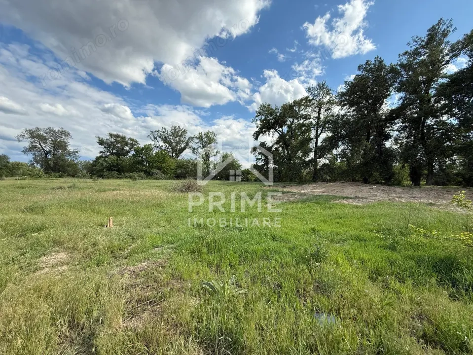  Teren intravilan de vânzare – 6.000 mp, Sebeș