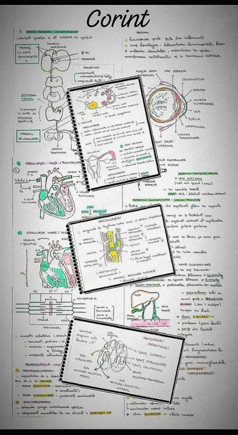 Materiale admitere PDF   UMFCT FMAM