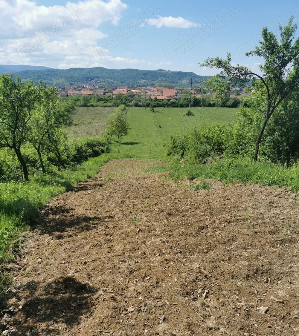 Teren de vanzare 2680 mp, Caransebeș - Str. Sarmisegetuza pt construcție case de vacanță, ecologice