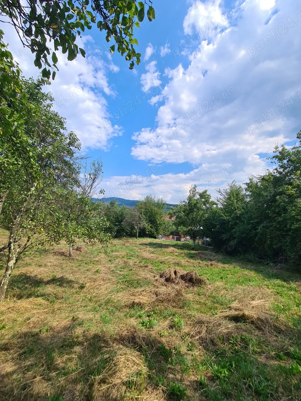 Teren intravilan 3900 m  de vânzare   Călimănești, Jiblea Veche