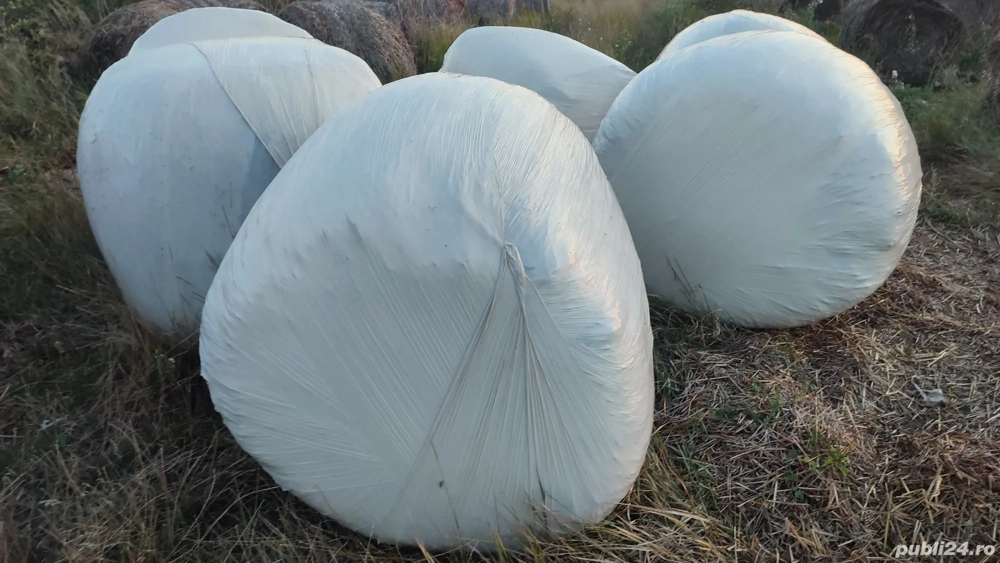 Vând baloți rotunzi