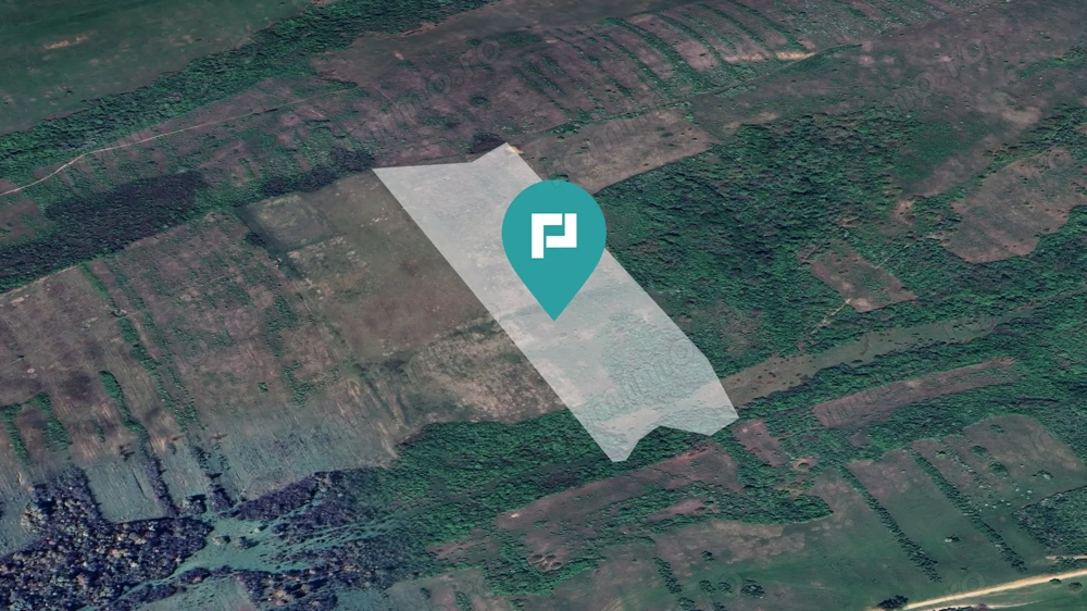 Teren arabil de 11,3 hectare în Bara, Timiș