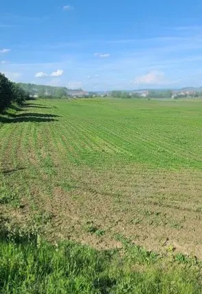 Teren de vanzare in Santana de Mures 